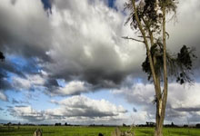 柏林赫塔后防稳固保持不败记录