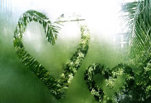 奥尔德雷尔尔德斯正式复出，球迷狂欢