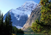 马德里竞技力克对手，晋级下一轮