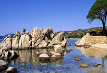 土耳其队一路过关斩将，晋级欧洲杯预选赛